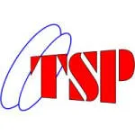 PT Timur Satria Perkasa company logo