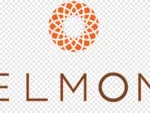 Belmond Management company logo