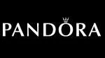 Pandora Net company logo