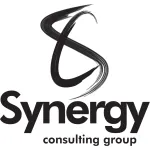 Synergy Pro Business & Legal Consulting company logo