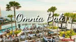 Omni Bali company logo