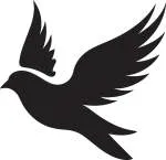 Black Dove Manufacturing company logo