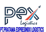 PT Rantai Sinergi Logistik (PEX) company logo