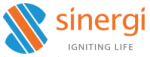 PT Sinergi Insan Andalan company logo